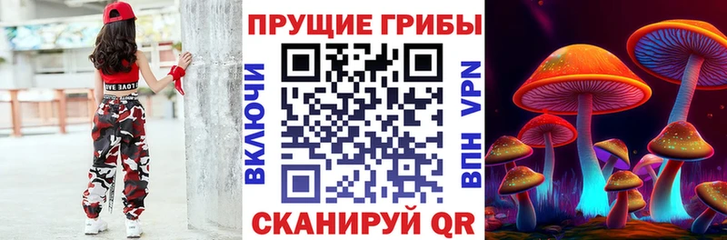 Псилоцибиновые грибы мухоморы  MEGA сайт  Пыть-Ях 